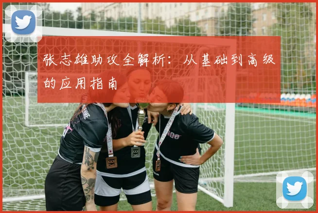 张志雄助攻全解析：从基础到高级的应用指南