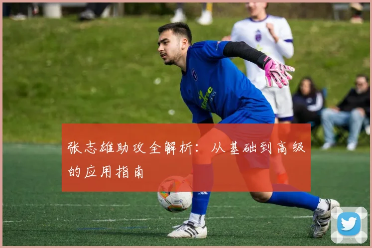 张志雄助攻全解析：从基础到高级的应用指南